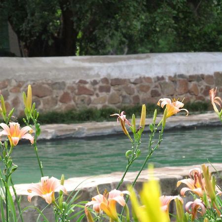 Hillside Farm Hotel Trompsburg Екстериор снимка