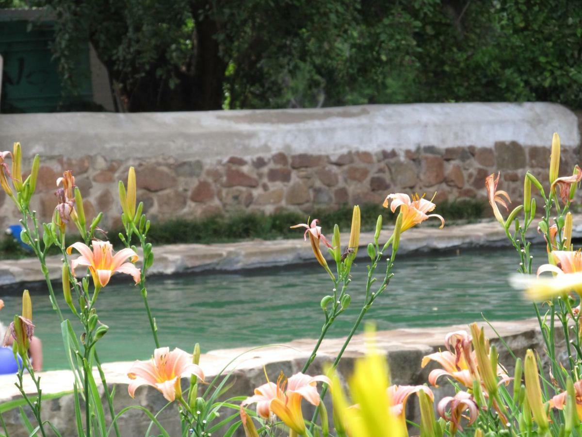 Hillside Farm Hotel Trompsburg Екстериор снимка